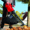 Einhell električni usisivač lišća GC-EL 2500 E 3433300 - Image 2